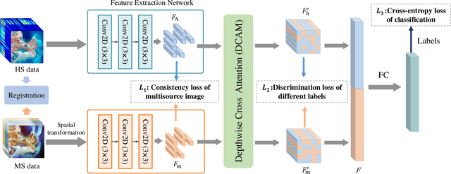 Figure 1 for Hyperspectral and Multispectral Classification for Coastal Wetland Using Depthwise Feature Interaction Network