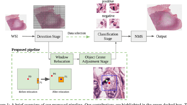 Figure 1 for ReCasNet: Improving consistency within the two-stage mitosis detection framework