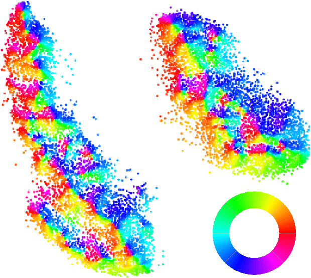 Figure 4 for t-SNE, Forceful Colorings and Mean Field Limits