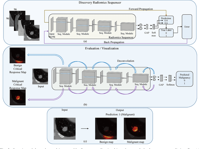 Figure 3 for SISC: End-to-end Interpretable Discovery Radiomics-Driven Lung Cancer Prediction via Stacked Interpretable Sequencing Cells