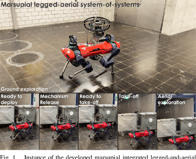 Figure 1 for Marsupial Walking-and-Flying Robotic Deployment for Collaborative Exploration of Unknown Environments