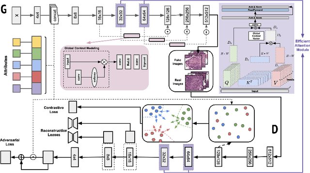 Figure 1 for A Multi-attribute Controllable Generative Model for Histopathology Image Synthesis