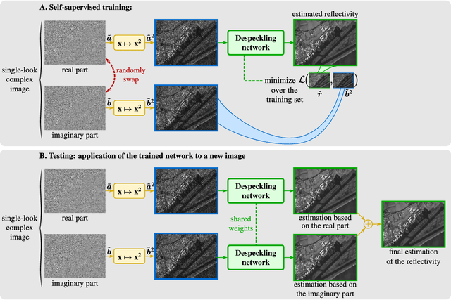 Figure 2 for As if by magic: self-supervised training of deep despeckling networks with MERLIN