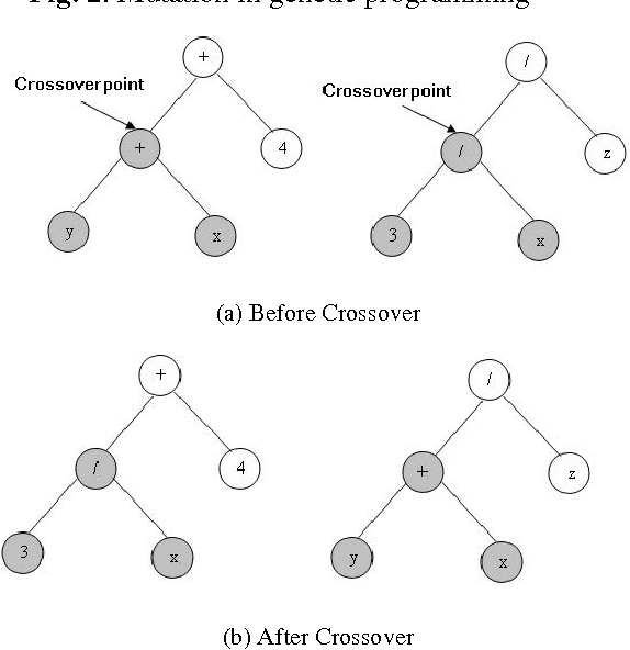 Figure 3 for Genetic Programming Framework for Fingerprint Matching