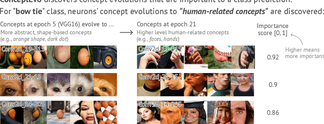 Figure 2 for ConceptEvo: Interpreting Concept Evolution in Deep Learning Training