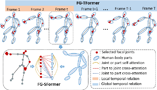 Figure 1 for Focal and Global Spatial-Temporal Transformer for Skeleton-based Action Recognition