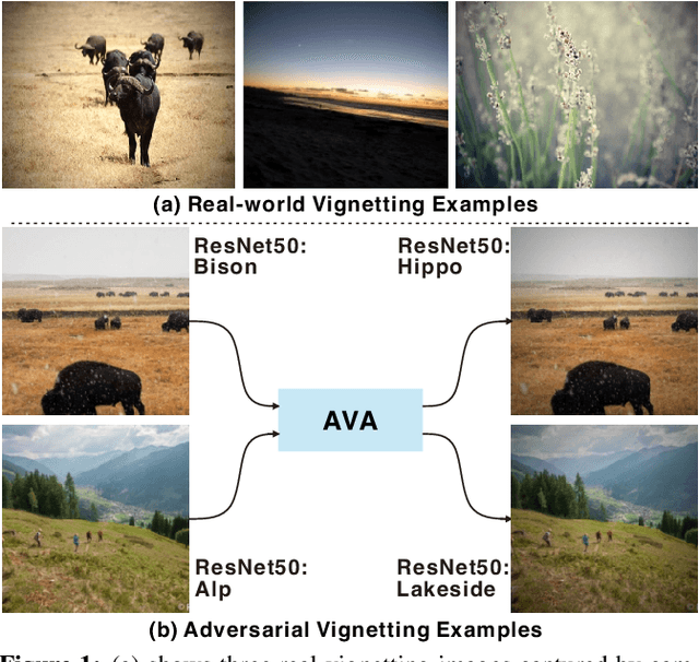 Figure 1 for AVA: Adversarial Vignetting Attack against Visual Recognition