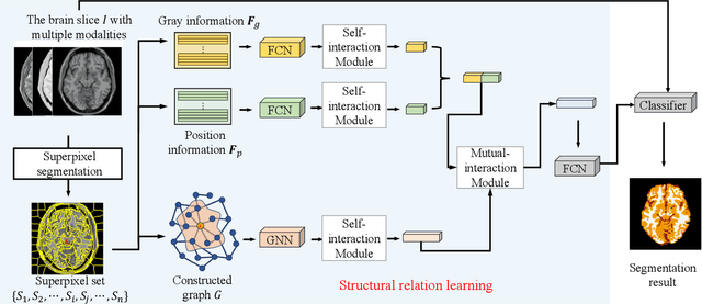 Figure 1 for Graph Neural Network and Superpixel Based Brain Tissue Segmentation (Corrected Version)