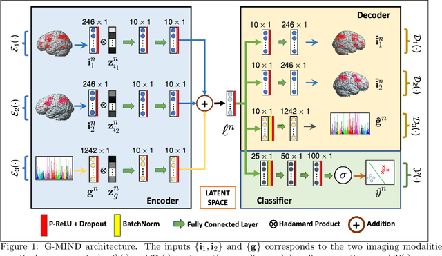 Figure 1 for G-MIND: An End-to-End Multimodal Imaging-Genetics Framework for Biomarker Identification and Disease Classification