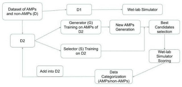 Figure 1 for Graph-Based Active Machine Learning Method for Diverse and Novel Antimicrobial Peptides Generation and Selection