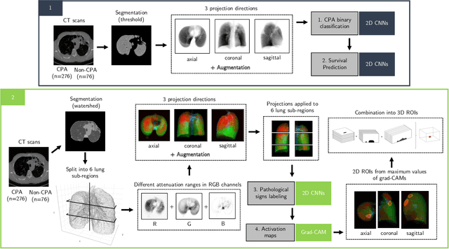 Figure 2 for SAPSAM - Sparsely Annotated Pathological Sign Activation Maps - A novel approach to train Convolutional Neural Networks on lung CT scans using binary labels only