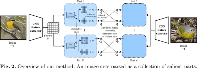 Figure 3 for Fine-grained Few-shot Recognition by Deep Object Parsing