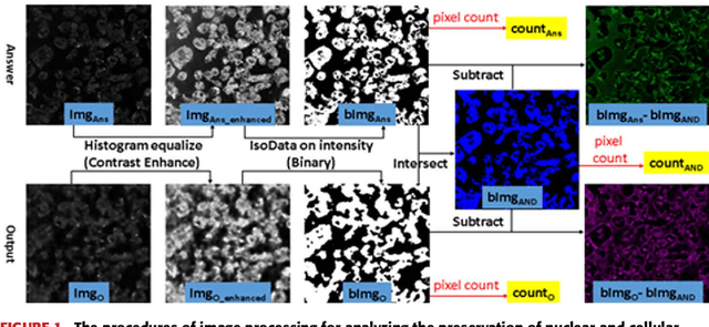 Figure 2 for Boundary-Preserved Deep Denoising of the Stochastic Resonance Enhanced Multiphoton Images