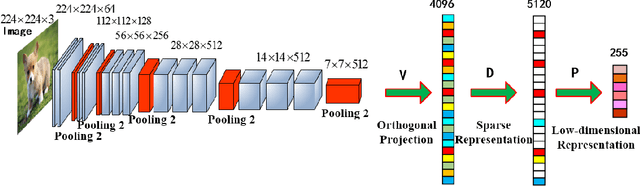 Figure 1 for Joint Learning of Discriminative Low-dimensional Image Representations Based on Dictionary Learning and Two-layer Orthogonal Projections