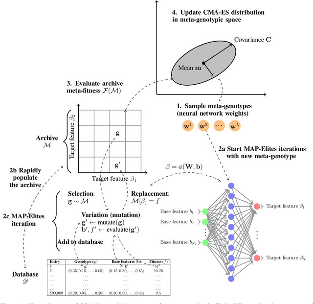 Figure 1 for Quality-Diversity Meta-Evolution: customising behaviour spaces to a meta-objective