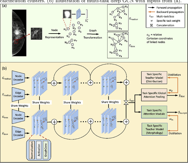 Figure 3 for Multi-task Graph Convolutional Neural Network for Calcification Morphology and Distribution Analysis in Mammograms