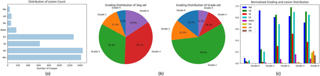 Figure 4 for A Benchmark for Studying Diabetic Retinopathy: Segmentation, Grading, and Transferability
