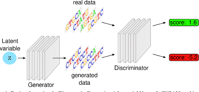 Figure 1 for Generating and designing DNA with deep generative models