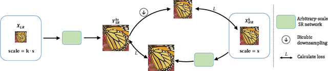Figure 3 for A Simple Plugin for Transforming Images to Arbitrary Scales