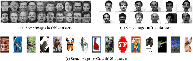 Figure 3 for Multi-view Locality Low-rank Embedding for Dimension Reduction