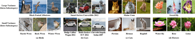 Figure 3 for Object-Part Attention Model for Fine-grained Image Classification