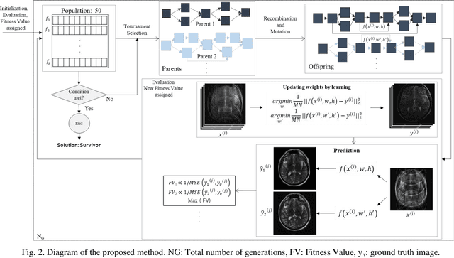 Figure 3 for ERNAS: An Evolutionary Neural Architecture Search for Magnetic Resonance Image Reconstructions