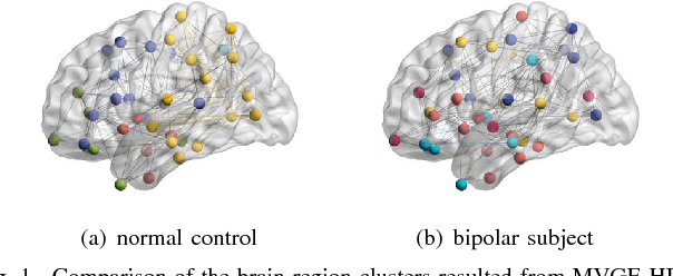 Figure 1 for Multi-view Graph Embedding with Hub Detection for Brain Network Analysis