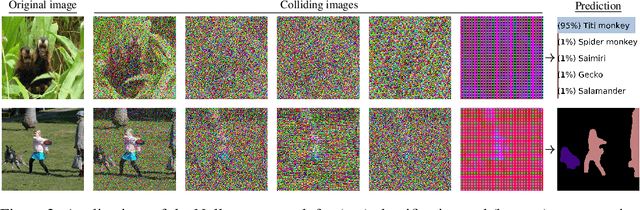 Figure 3 for Exact Feature Collisions in Neural Networks