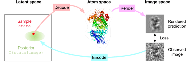Figure 1 for Inferring a Continuous Distribution of Atom Coordinates from Cryo-EM Images using VAEs