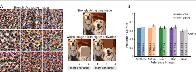 Figure 3 for How Well do Feature Visualizations Support Causal Understanding of CNN Activations?