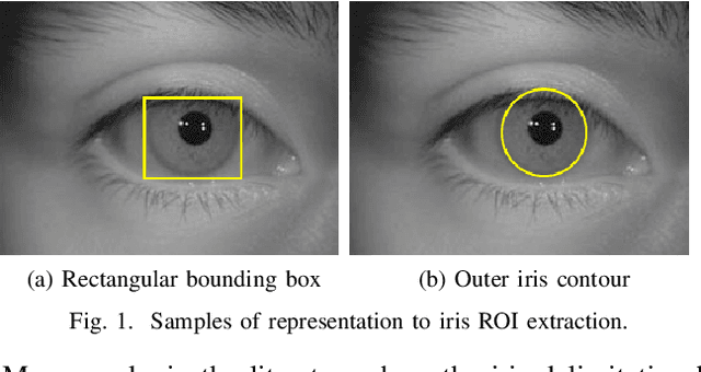 Figure 1 for Simultaneous Iris and Periocular Region Detection Using Coarse Annotations