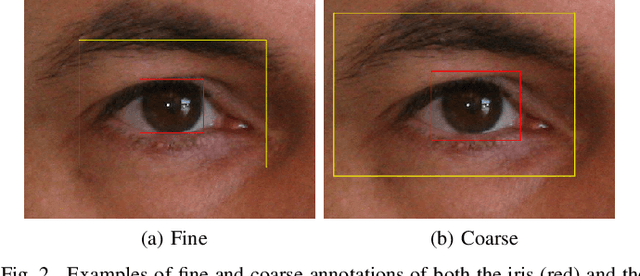 Figure 2 for Simultaneous Iris and Periocular Region Detection Using Coarse Annotations