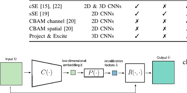 Figure 2 for Recalibrating 3D ConvNets with Project & Excite