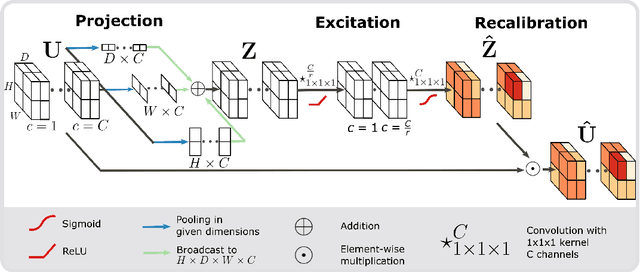 Figure 3 for Recalibrating 3D ConvNets with Project & Excite