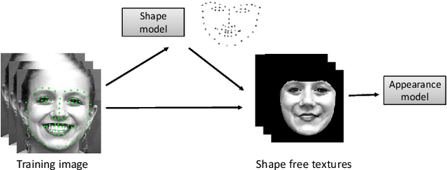 Figure 3 for Facial Landmark Detection: a Literature Survey