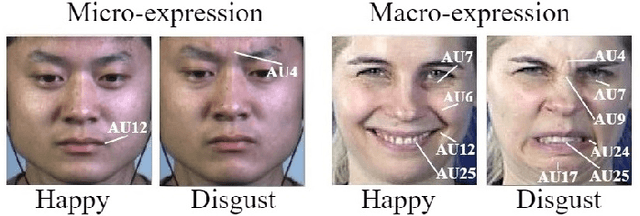 Figure 1 for Deep Learning based Micro-expression Recognition: A Survey