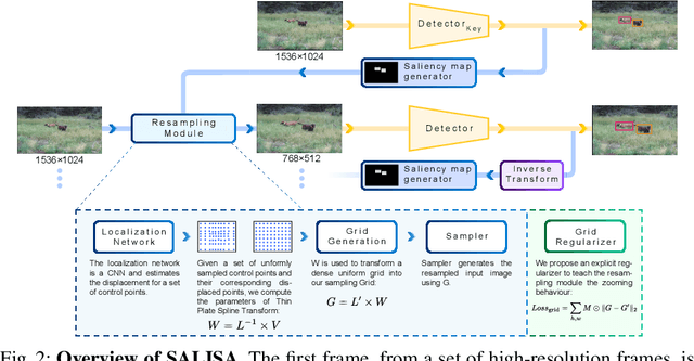 Figure 2 for SALISA: Saliency-based Input Sampling for Efficient Video Object Detection