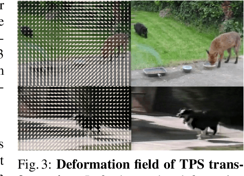 Figure 4 for SALISA: Saliency-based Input Sampling for Efficient Video Object Detection