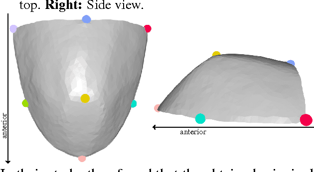 Figure 1 for A statistical shape space model of the palate surface trained on 3D MRI scans of the vocal tract