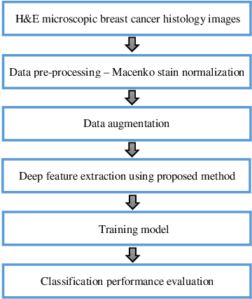 Figure 3 for Classification of Histopathological Biopsy Images Using Ensemble of Deep Learning Networks