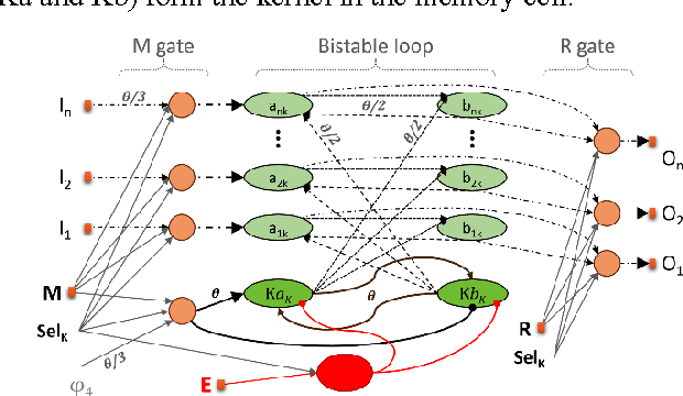 Figure 4 for A Draft Memory Model on Spiking Neural Assemblies