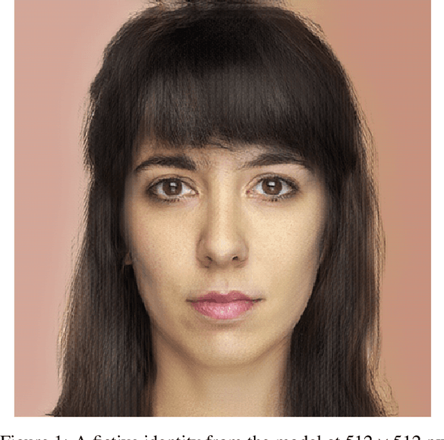 Figure 1 for Learning a face space for experiments on human identity