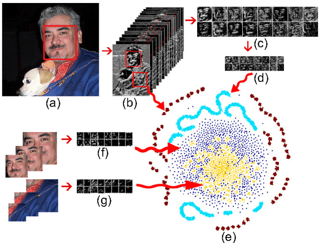 Figure 1 for A Fast Face Detection Method via Convolutional Neural Network