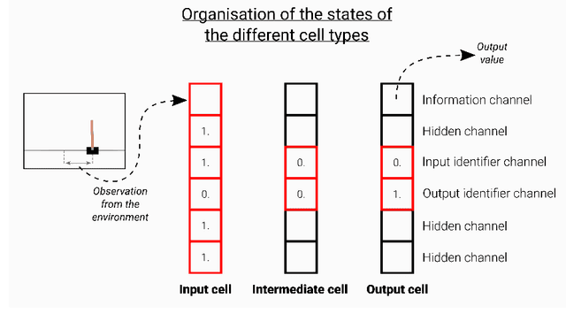 Figure 3 for Towards self-organized control: Using neural cellular automata to robustly control a cart-pole agent