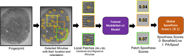 Figure 3 for Fingerprint Presentation Attack Detection: Generalization and Efficiency