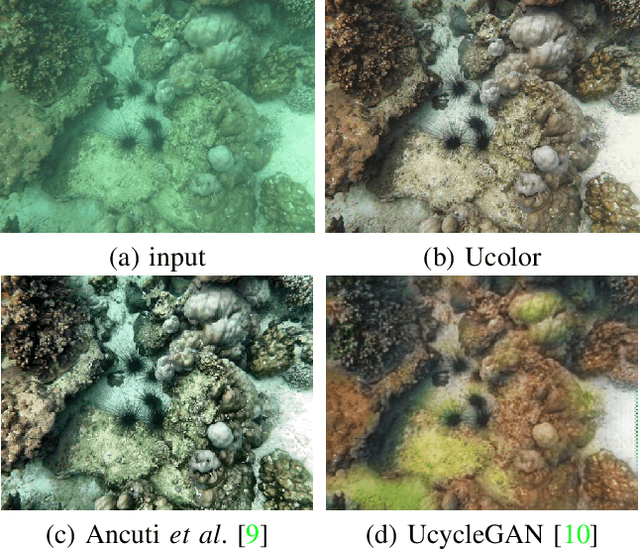 Figure 1 for Underwater Image Enhancement via Medium Transmission-Guided Multi-Color Space Embedding