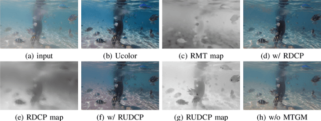 Figure 4 for Underwater Image Enhancement via Medium Transmission-Guided Multi-Color Space Embedding