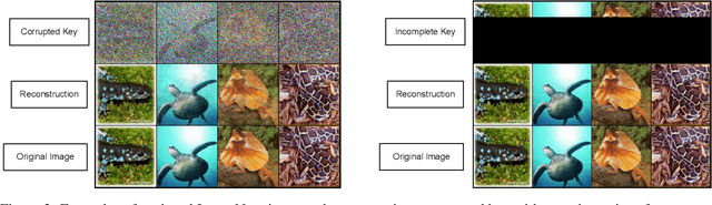 Figure 3 for Predictive Coding: Towards a Future of Deep Learning beyond Backpropagation?