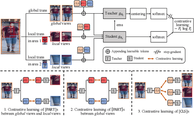 Figure 3 for Part-Aware Self-Supervised Pre-Training for Person Re-Identification