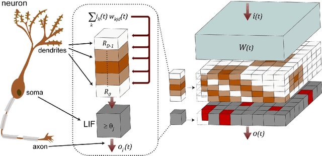 Figure 1 for A Digital Neuromorphic Architecture Efficiently Facilitating Complex Synaptic Response Functions Applied to Liquid State Machines